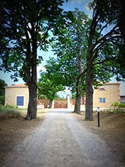 interview Le Mas De Laux