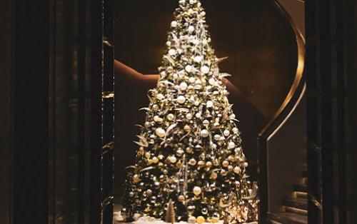 Les traditions de Noël en Provence : nos idées pour le célébrer