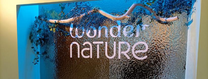 Wonder Nature, le nouveau lieu de Lieux Atypiques