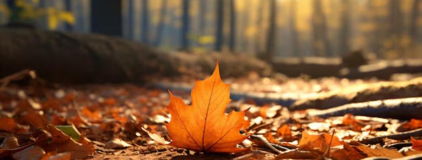 Les meilleures destinations d'automne