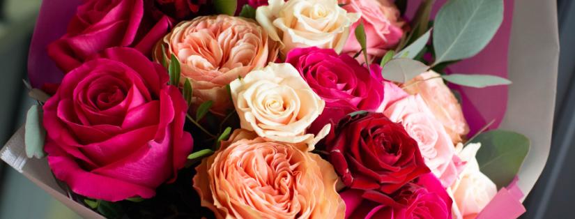 Combien de roses offrir ? Découvrez leur signification cachée !