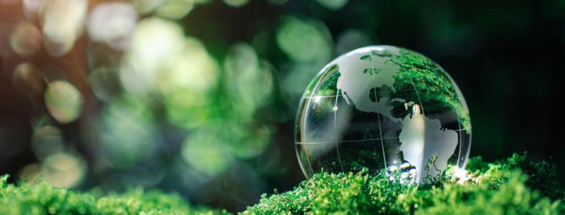 Réduire l’empreinte carbone de ses événements : un enjeu clé pour les entreprises