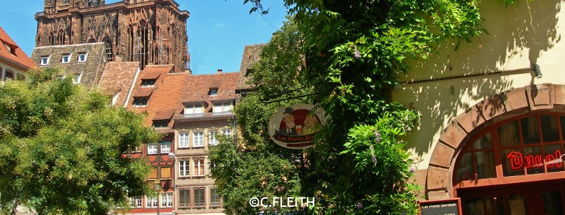 Meet in Alsace : d’irrésistibles nouveautés MICE à Strasbourg