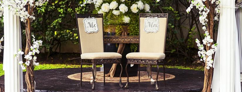 Livre d'or : et pourquoi pas un arbre à souhaits ?