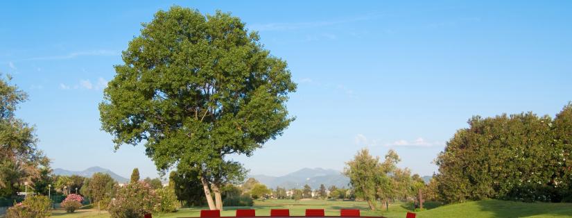 Séminaires ; pourquoi il faut couper ensemble