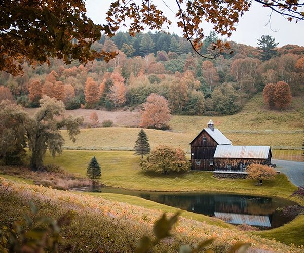 Réunion de famille à la campagne