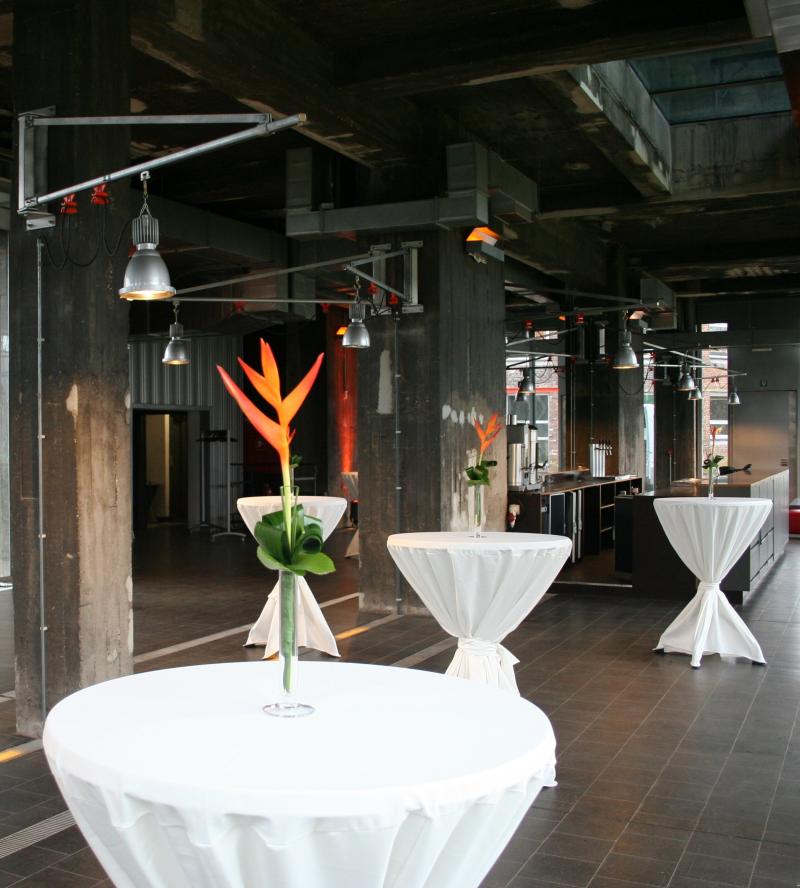 Sparkoh - photo 2