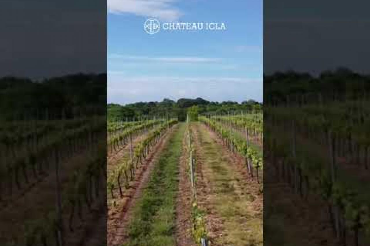 Vidéo #13207