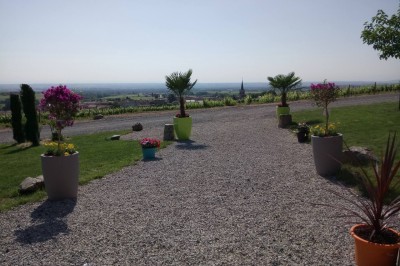 Domaine du Bois de la Bosse - photo 5