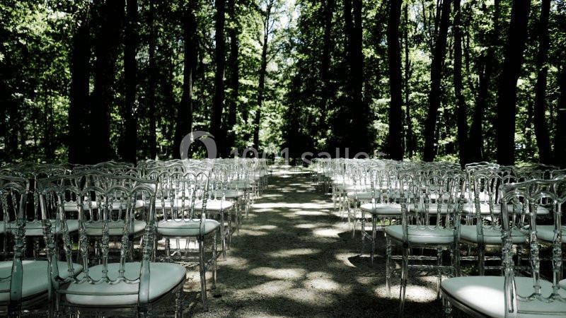 Allée bordée de chaises transparentes disposées en plein air dans une forêt lumineuse.