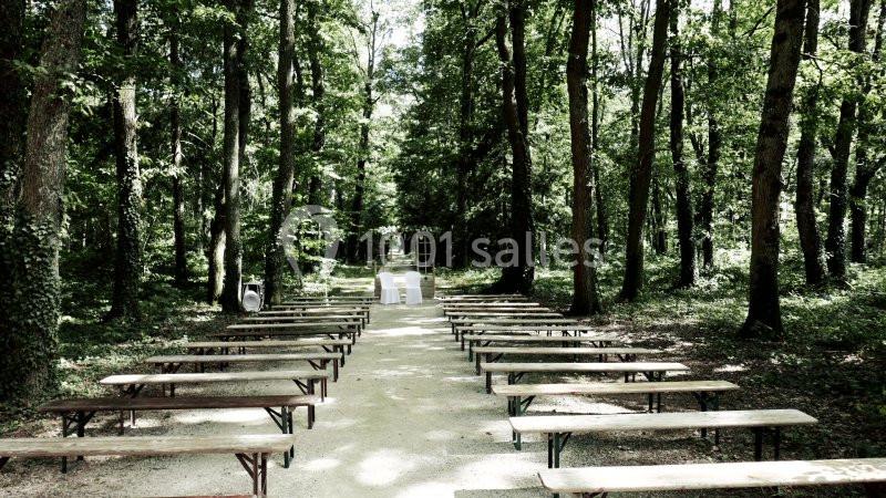 Allée centrale bordée de bancs en bois dans une clairière forestière, menant à deux chaises blanches.