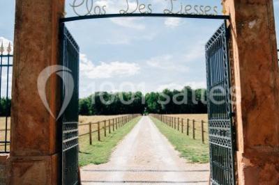 Chambre avec lit double, parquet clair, échelle en bois menant à une mezzanine, fenêtre avec rideaux et miroir debout.