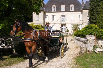 Location salle Limé (Aisne) - Domaine de Limé #23