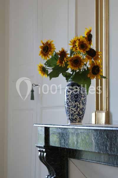 Location salle Lemps (Ardèche) - Château Chavagnac #6