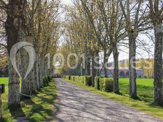 Domaine de Balestat - photo 4