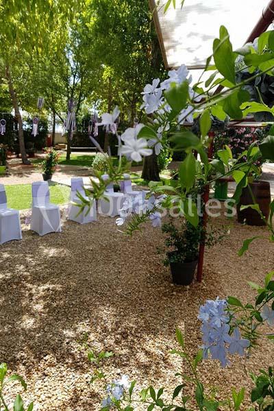 Manade des Termes - galerie - photo 3