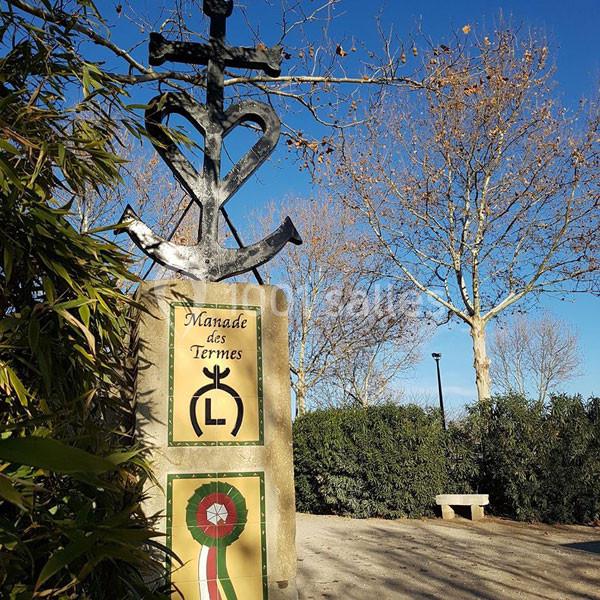 Manade des Termes - galerie - photo 1