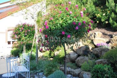 Miniature Location salle Trépail (Marne) - Pré En Bulles #15 Location salle Trépail (Marne) - Pré En Bulles #20