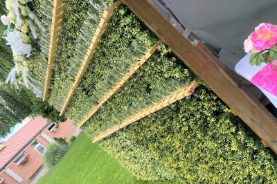 Miniature Location salle Paillencourt (Nord) - Le Canotier #37 Table en bois décorée de bougies, fleurs et feuillage, entourée de chaises, sous une arche végétale dans une salle lumineuse.