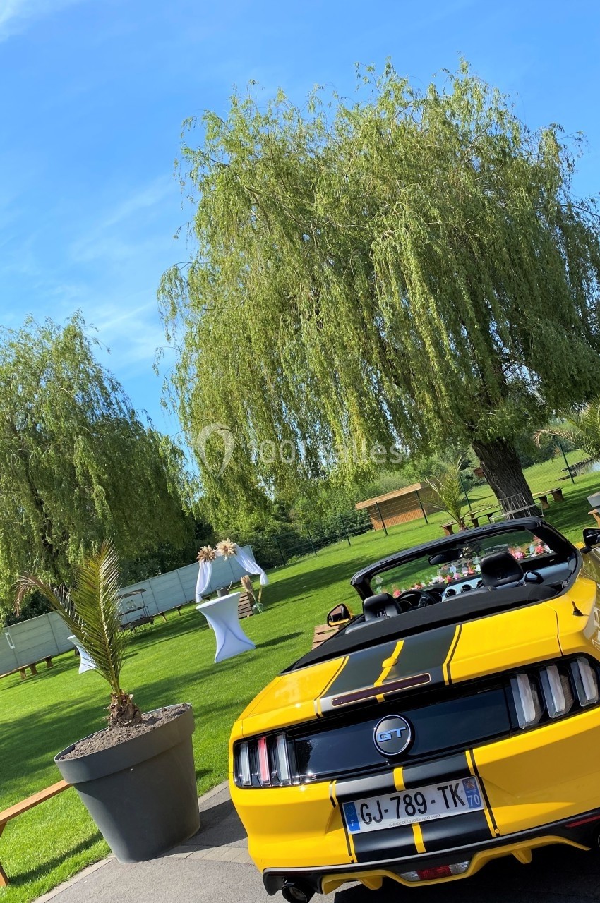 Voiture décapotable jaune et noire garée près d'arbres et de pelouse sous un ciel bleu.