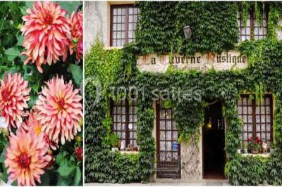 La Taverne Rustique - photo 1