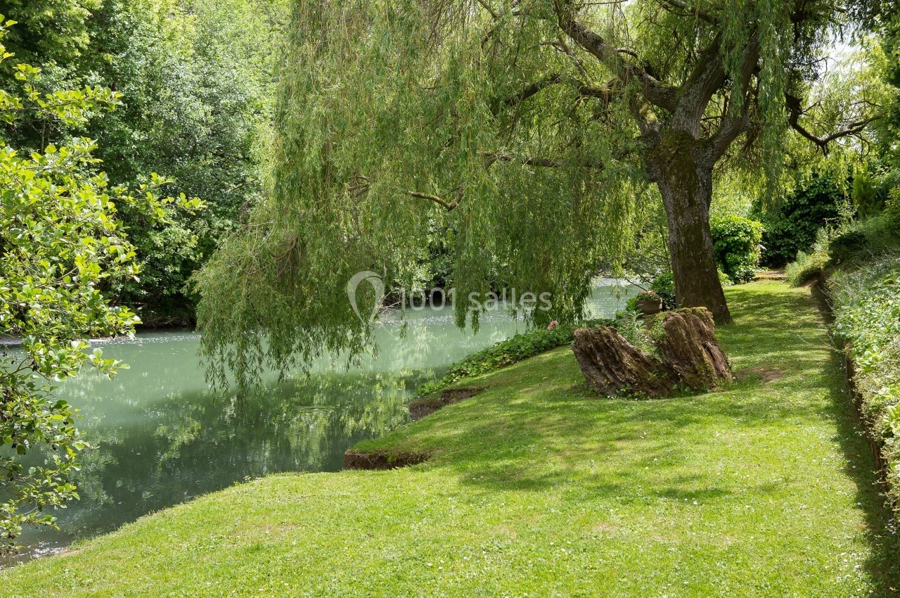 Un saule pleureur surplombe une rivière entourée de verdure dans un paysage paisible.