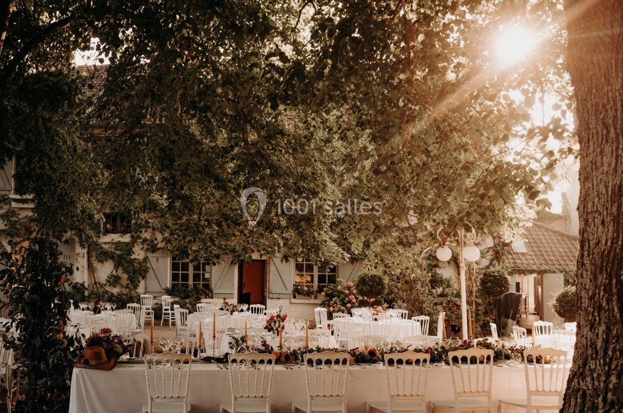 Tables décorées pour un événement en plein air sous des arbres, avec lumière du soleil filtrant à travers le feuillage.