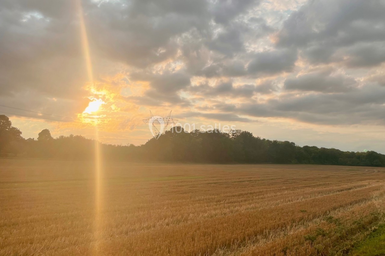 Champ de blé fraîchement moissonné sous un ciel nuageux avec le soleil couchant à l'horizon.