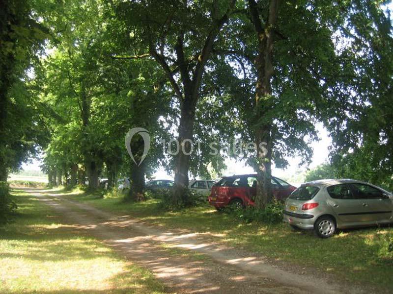 Voitures garées le long d'un chemin de terre ombragé par des arbres dans un cadre verdoyant.