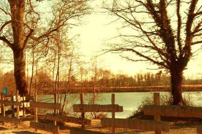 Les Brouilles - photo 3