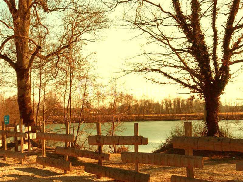 Les Brouilles - galerie - photo 3