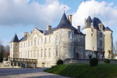 Château Vic Sur Aisne - photo 2