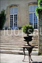Château de La Pioline - photo 4