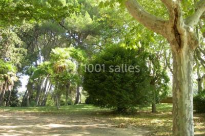 Domaine De La Tour - photo 5