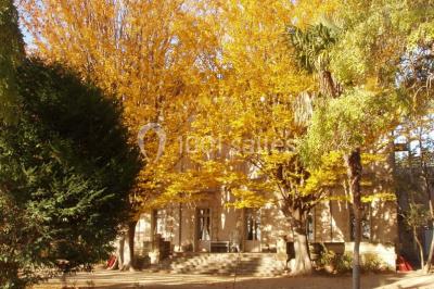 Domaine De La Tour - photo 4