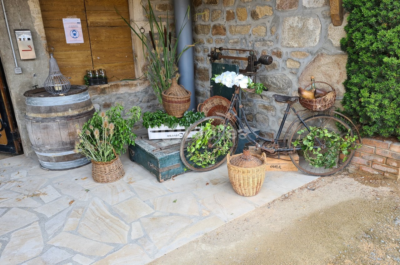 Vélo ancien décoré de plantes et paniers en osier, entouré de caisses en bois et d'éléments rustiques devant un mur en…