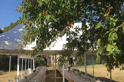 Un groupe de personnes rassemblées sous de grands arbres devant des bâtiments en pierre par une journée ensoleillée.