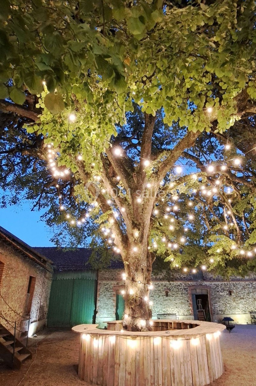 Arbre illuminé par des guirlandes lumineuses dans une cour en soirée, entouré de bâtiments en pierre.