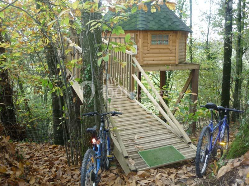 Cabane en bois perchée dans les arbres avec une passerelle en bois, entourée de végétation automnale et deux vélos au…