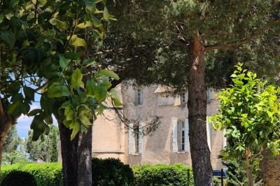 Château de Perdiguier - photo 2