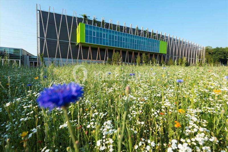 Location salle Nantes (Loire-Atlantique) - Exponantes Le Parc #10 Champ fleuri avec des fleurs sauvages au premier plan et un bâtiment moderne à façade vitrée en arrière-plan.