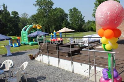 Miniature Location salle Donceel (Liège) - Château de Limont #20 Assiette rectangulaire avec boule de glace au chocolat, boule de glace vanille, gaufre, éclats de noisettes et sucre glace.