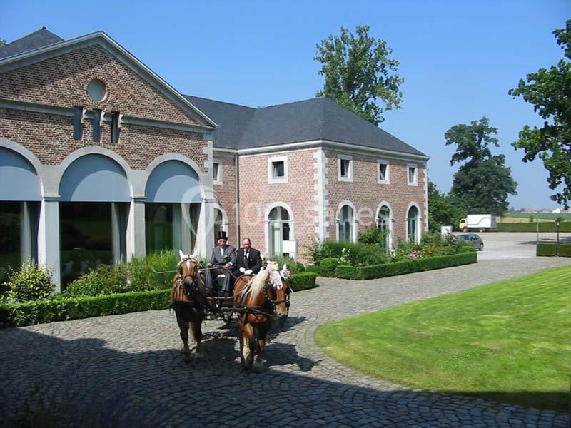 Location salle Donceel (Liège) - Château de Limont #19 Attelage de deux chevaux tirant une calèche devant un bâtiment en briques entouré de verdure.