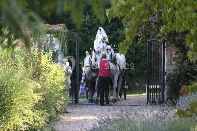 La Ferme de la Borde - photo 4
