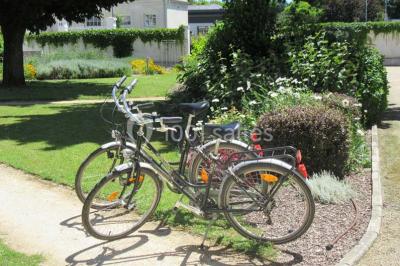 Miniature Location salle Saint-Martin-de-la-Place (Maine-et-Loire) - Hôtel De La Blairie #22 Location salle Saint-Martin-de-la-Place (Maine-et-Loire) - Hôtel De La Blairie #23