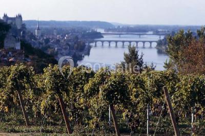 Miniature Location salle Saint-Martin-de-la-Place (Maine-et-Loire) - Hôtel De La Blairie #23 Location salle Saint-Martin-de-la-Place (Maine-et-Loire) - Hôtel De La Blairie #23