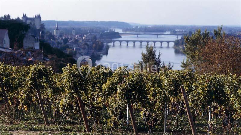 Location salle Saint-Martin-de-la-Place (Maine-et-Loire) - Hôtel De La Blairie #23 Location salle Saint-Martin-de-la-Place (Maine-et-Loire) - Hôtel De La Blairie #23