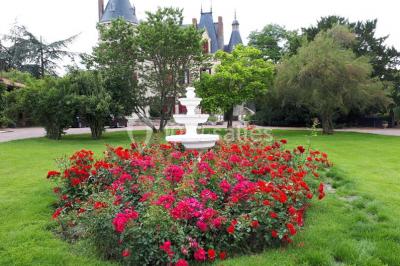 Location salle Cléré-sur-Layon (Maine-et-Loire) - Château des Landes #42