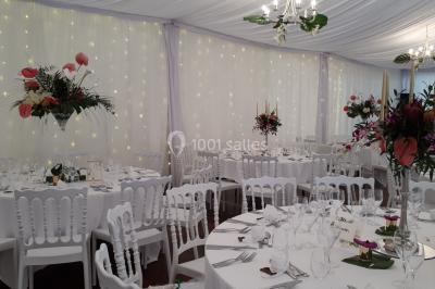 Location salle Cléré-sur-Layon (Maine-et-Loire) - Château des Landes #42