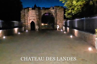 Location salle Cléré-sur-Layon (Maine-et-Loire) - Château des Landes #42